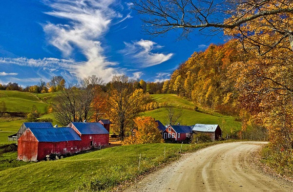 Vermont Farm